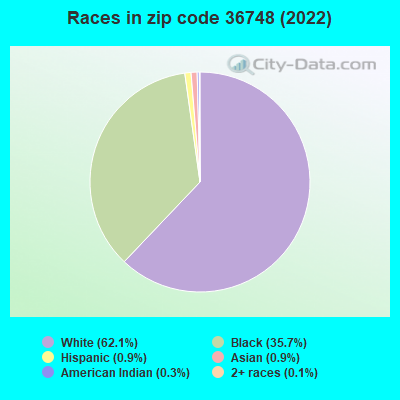 Races in zip code 36748 (2019)
