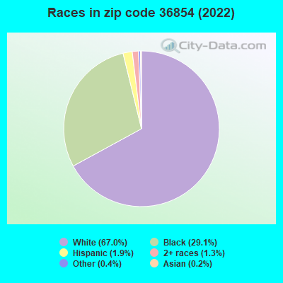 Races in zip code 36854 (2022)