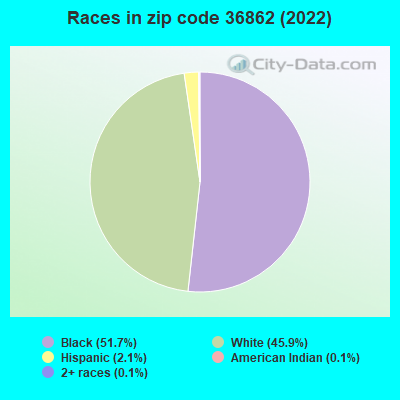 Races in zip code 36862 (2022)