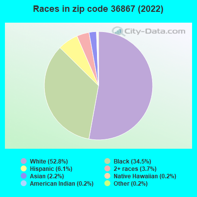 Races in zip code 36867 (2019)