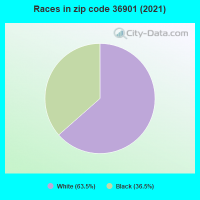 Races in zip code 36901 (2019)
