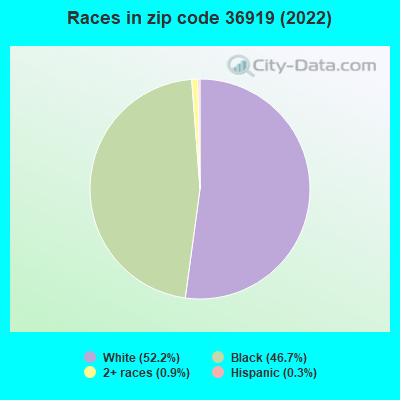 Races in zip code 36919 (2022)