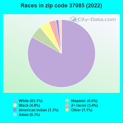 Races in zip code 37085 (2022)