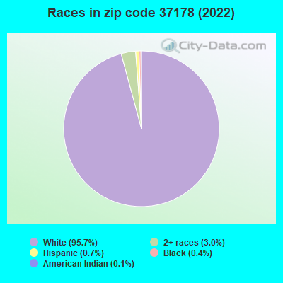 Races in zip code 37178 (2019)