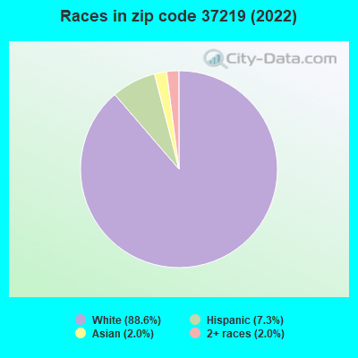 Races in zip code 37219 (2019)