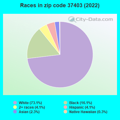 Races in zip code 37403 (2019)