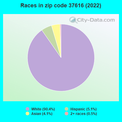 Races in zip code 37616 (2022)