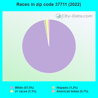 Races in zip code 37711 (2019)