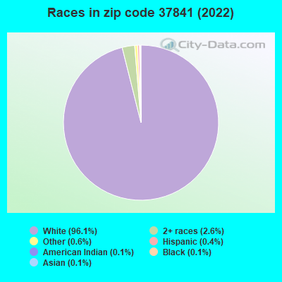 Races in zip code 37841 (2019)