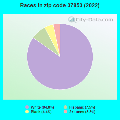 Races in zip code 37853 (2019)