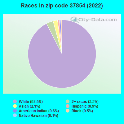 Races in zip code 37854 (2019)