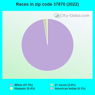 Races in zip code 37870 (2019)