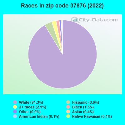 Races in zip code 37876 (2022)
