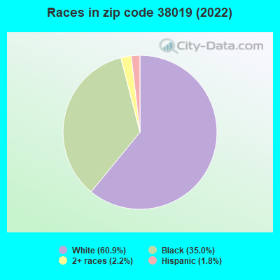 Races in zip code 38019 (2019)