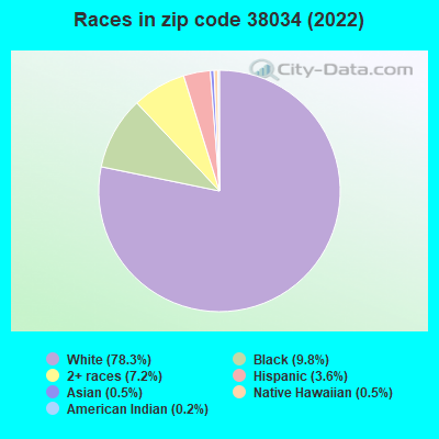 Races in zip code 38034 (2022)