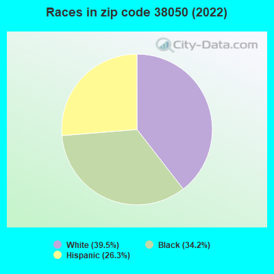 Races in zip code 38050 (2019)