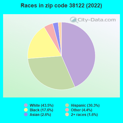 Races in zip code 38122 (2021)