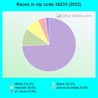 Races in zip code 38235 (2022)