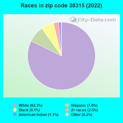 Races in zip code 38315 (2019)