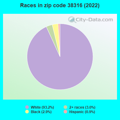 Races in zip code 38316 (2019)