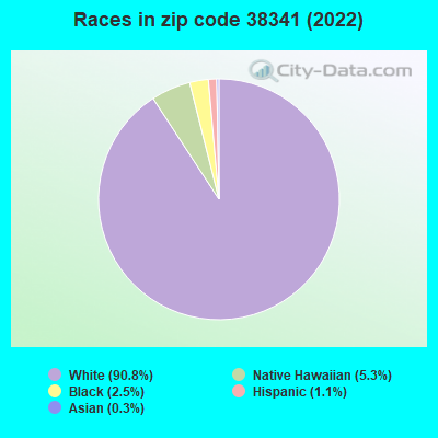 Races in zip code 38341 (2019)