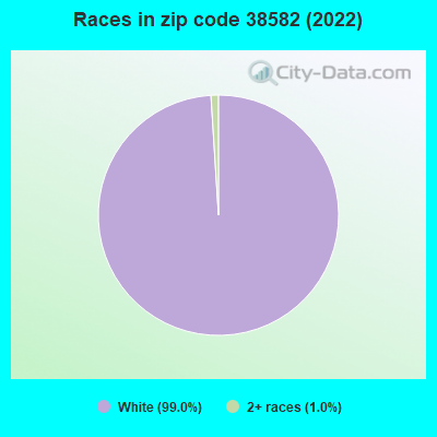 Races in zip code 38582 (2022)