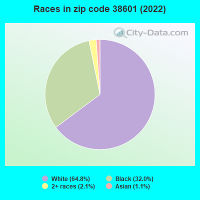 Races in zip code 38601 (2022)
