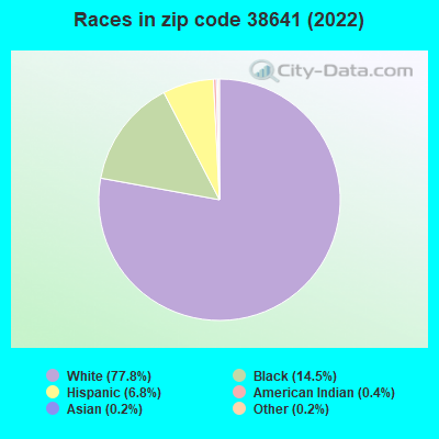 Races in zip code 38641 (2019)