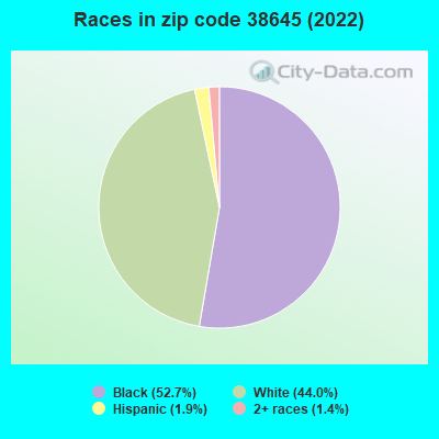 Races in zip code 38645 (2022)
