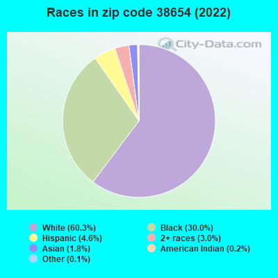 Races in zip code 38654 (2019)