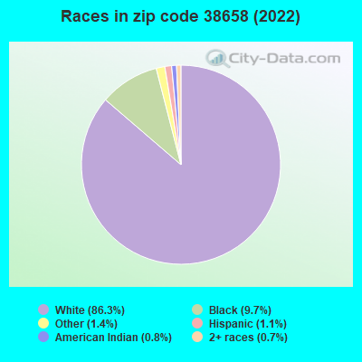 Races in zip code 38658 (2019)
