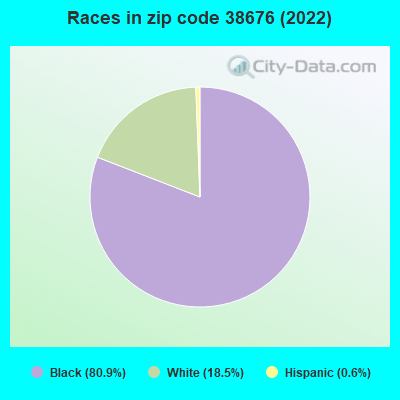 Races in zip code 38676 (2022)