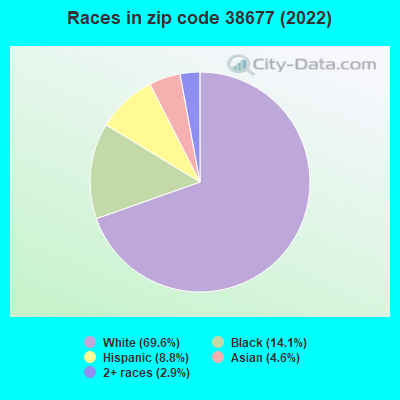 Races in zip code 38677 (2022)