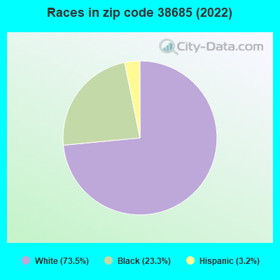 Races in zip code 38685 (2019)