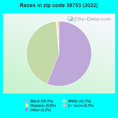Races in zip code 38753 (2019)