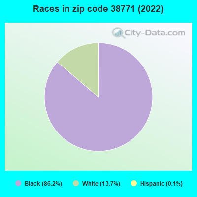 Races in zip code 38771 (2022)