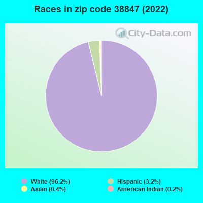 Races in zip code 38847 (2022)