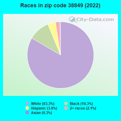 Races in zip code 38849 (2022)