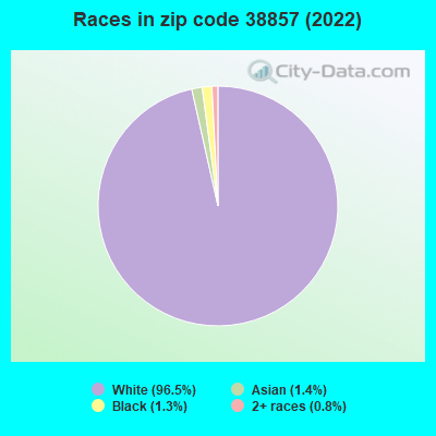 Races in zip code 38857 (2022)