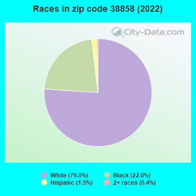 Races in zip code 38858 (2022)