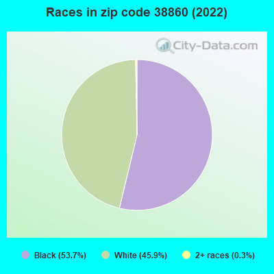 Races in zip code 38860 (2022)