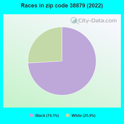 Races in zip code 38879 (2022)