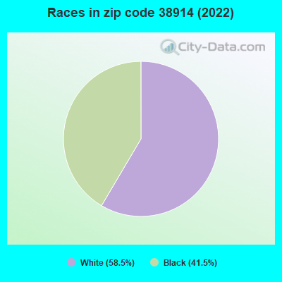Races in zip code 38914 (2022)
