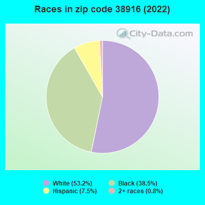 Races in zip code 38916 (2019)