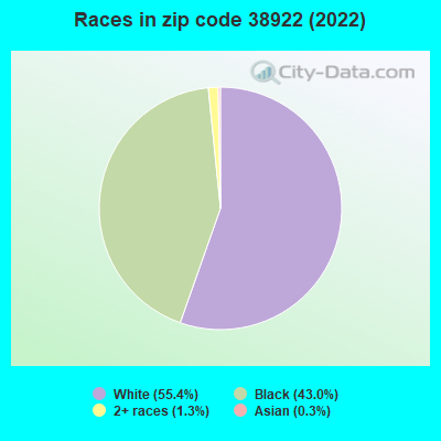Races in zip code 38922 (2019)