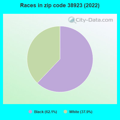 Races in zip code 38923 (2022)