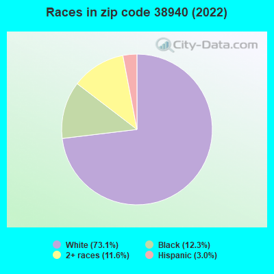 Races in zip code 38940 (2022)