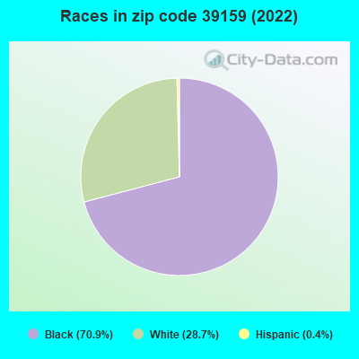 Races in zip code 39159 (2019)