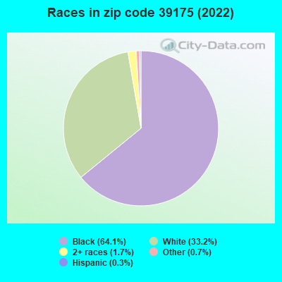 Races in zip code 39175 (2019)