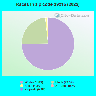 Races in zip code 39216 (2019)